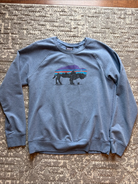Patagonia Sweaters - Patagonia Blue Crewneck Sweatshirt